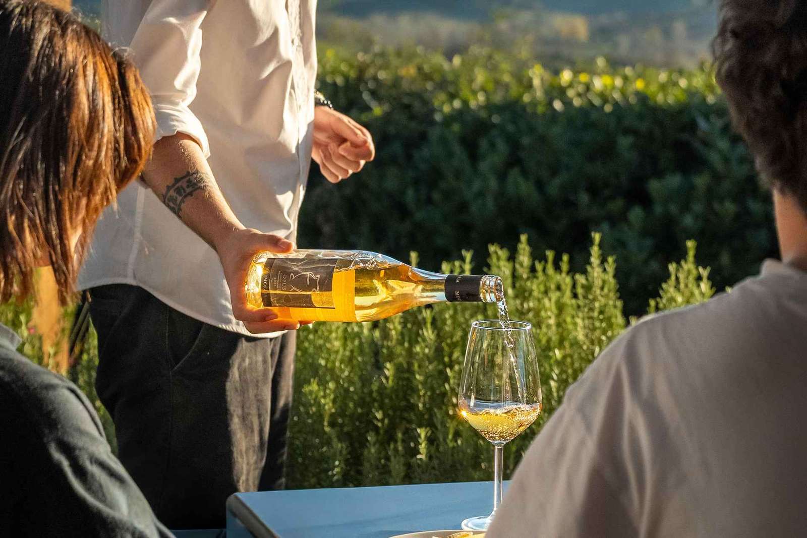 Degustace vína ve vinařství Mormoraia u San Gimignana