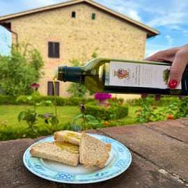 Dégustation d'huile d'olive dans le Chianti : ferme familiale