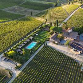 Découvrez les vins du Chianti Classico lors d'une dégustation à Viticcio