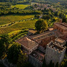 Tour in e-bike al Castello di Brolio da Gaiole
