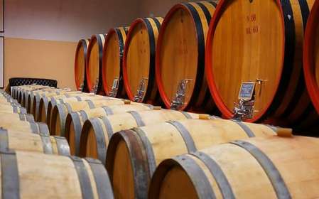 From Siena: Brunello di Montalcino Guided Wine Tour W/ Lunch