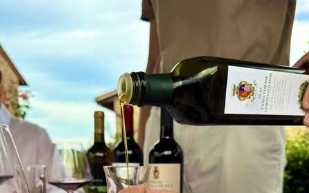 Degustacja oliwy z oliwek w Chianti: gospodarstwo i gaje