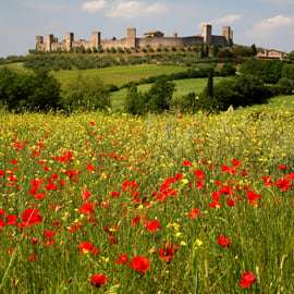 Siena: Caminata guiada de medio día a Monteriggioni