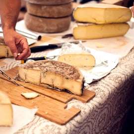 Ulignano: Degustação de vinhos e queijos da Toscana