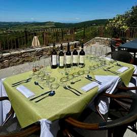 Prohlídka vinařství Gagliole v Chianti Classico: degustace