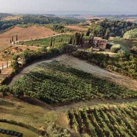 Siena: Visita à vinícola e degustação com o proprietário/fabricante de vinhos premiados