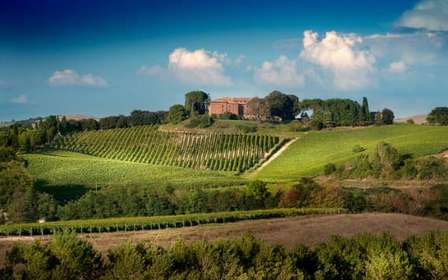 Montalcino: Degustacja wina Brunello