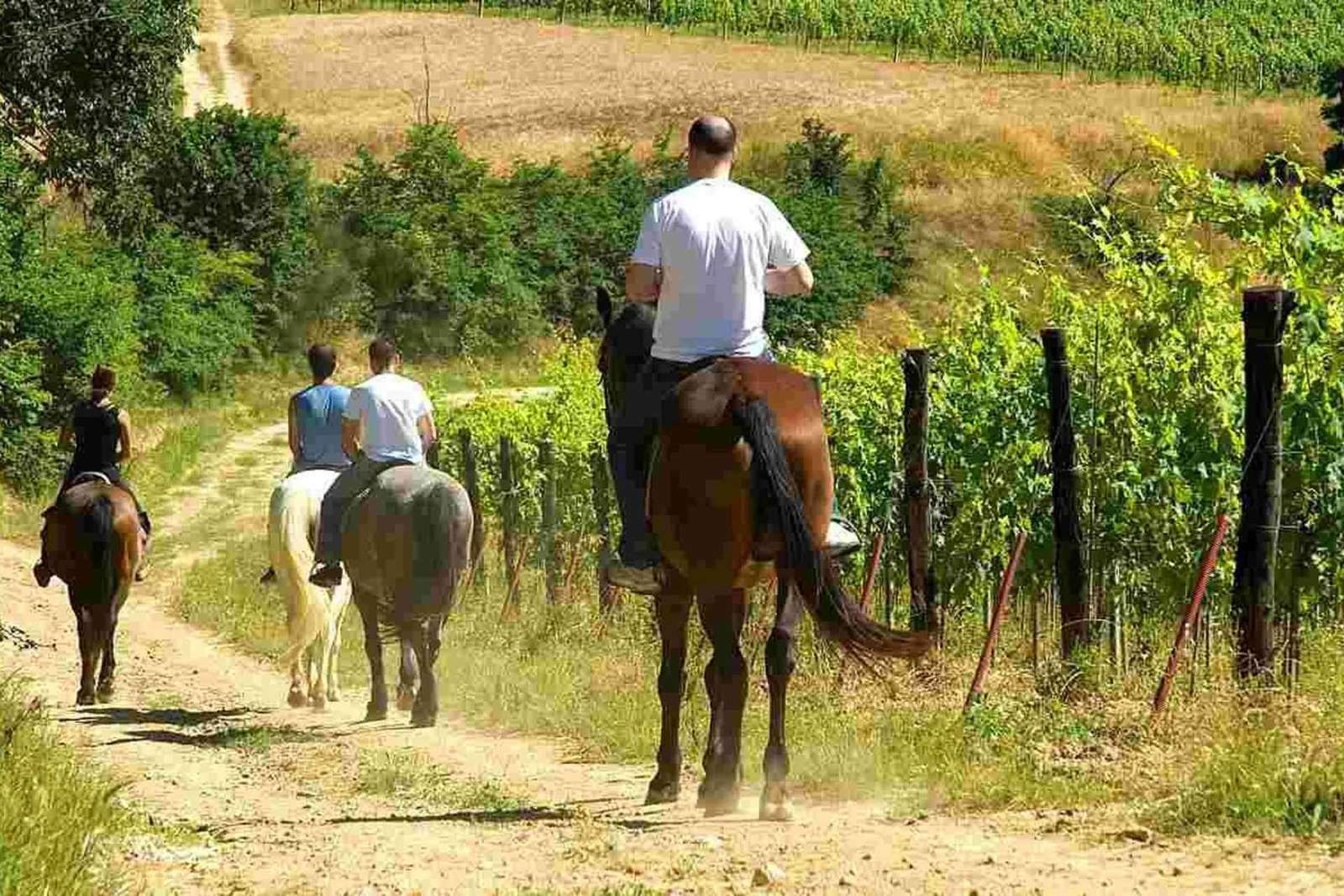 Ridtur i San Gimignano: en timme bland kullar och vingårdar
