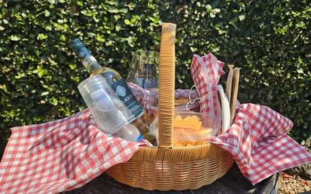 Piknik w winnicy Vernaccia pod San Gimignano