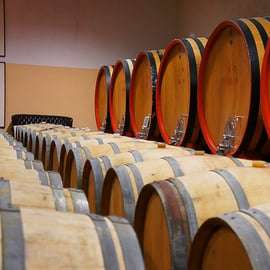 Tour de Brunello di Montalcino com almoço e Sant'Antimo