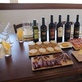 Degustace vína Brunello di Montalcino s prohlídkou vinice
