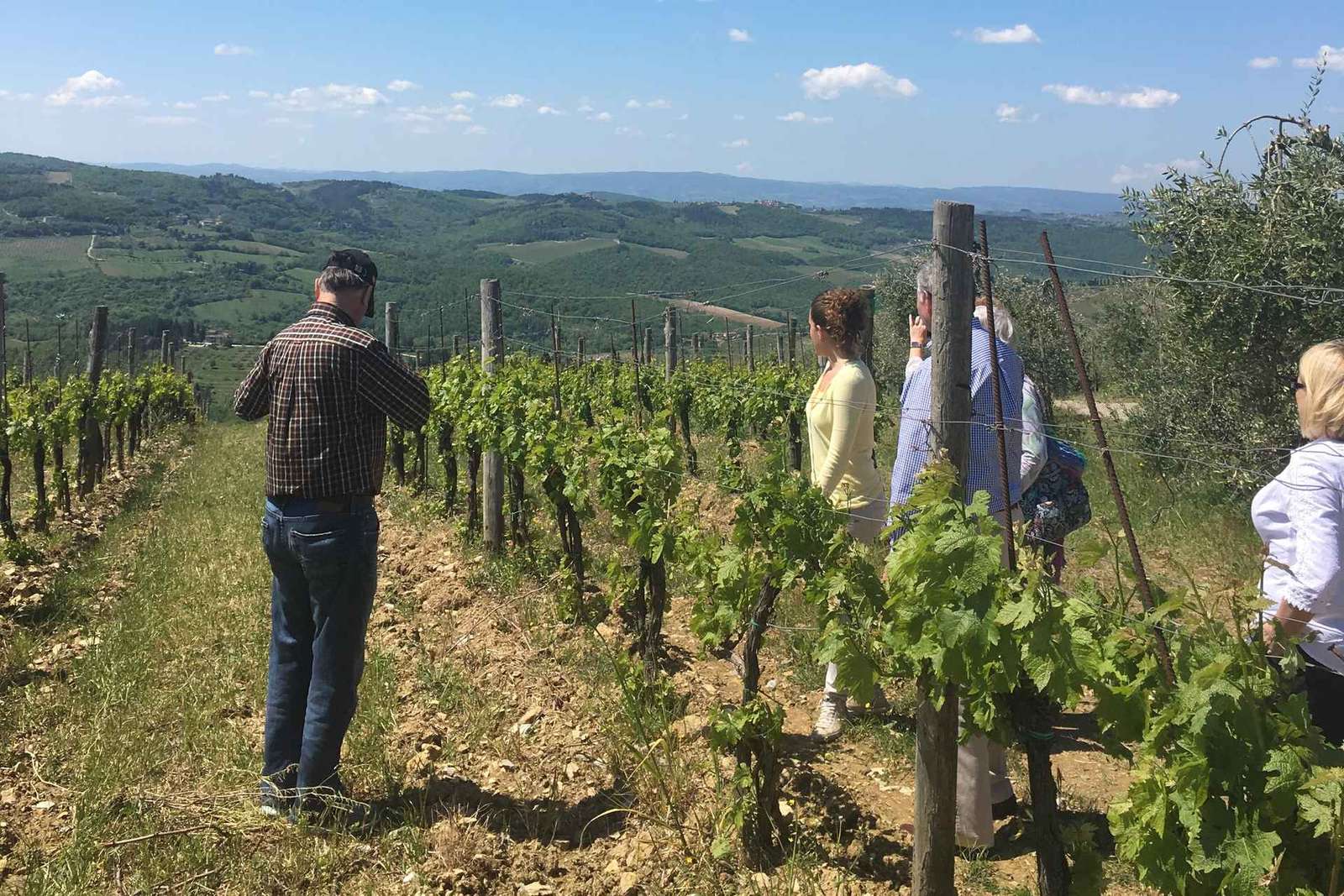 Prohlídka vinařství Gagliole v Chianti Classico: degustace