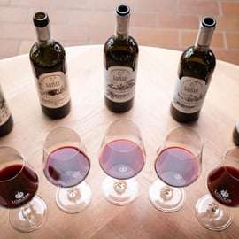 Montalcino: Prohlídka vinařství a vertikální degustace Brunella