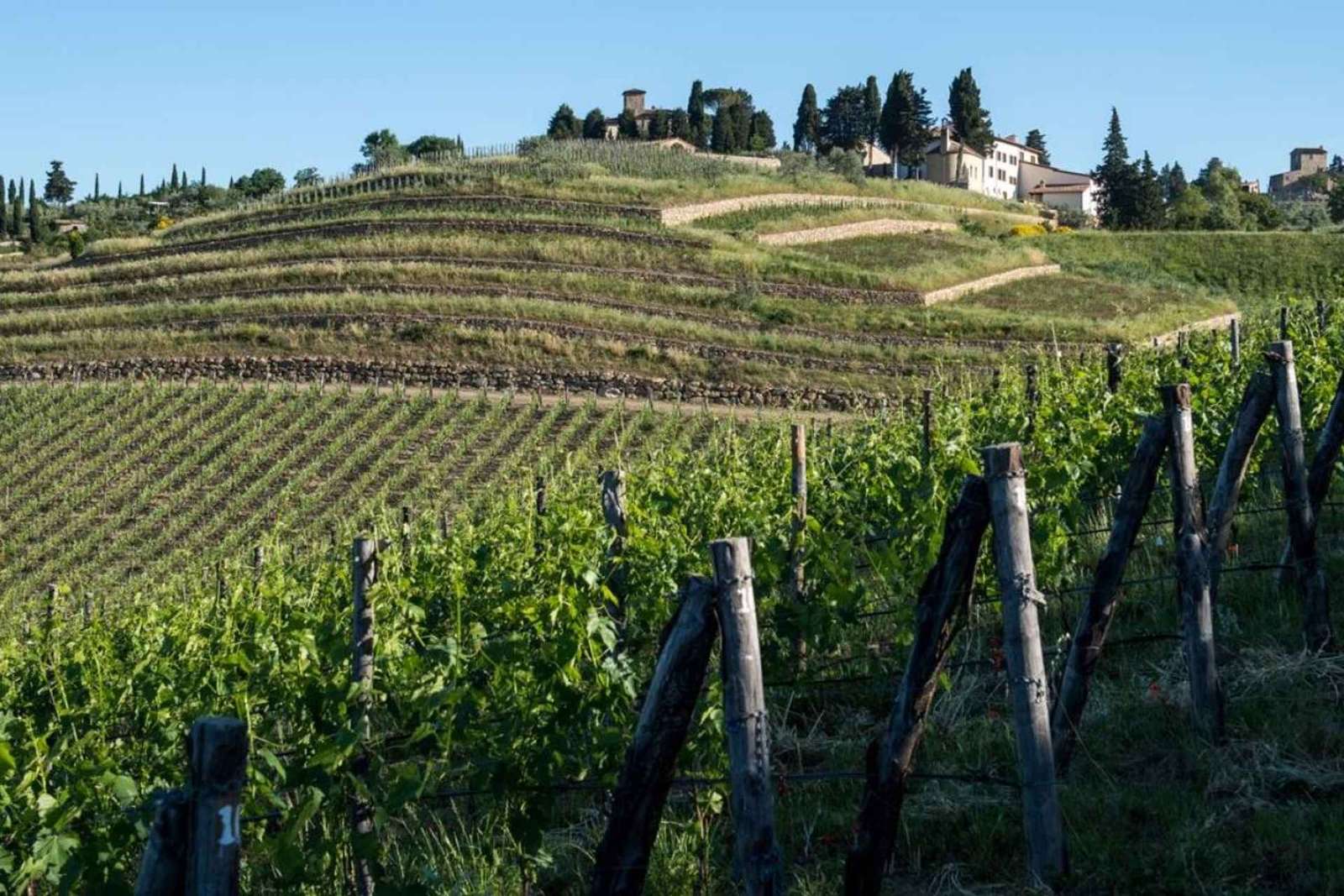 Visita e degustação de vinhos em Greve in Chianti