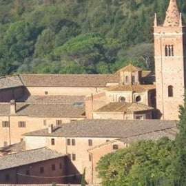 Visita all'Abbazia di Monte Oliveto Maggiore con degustazione