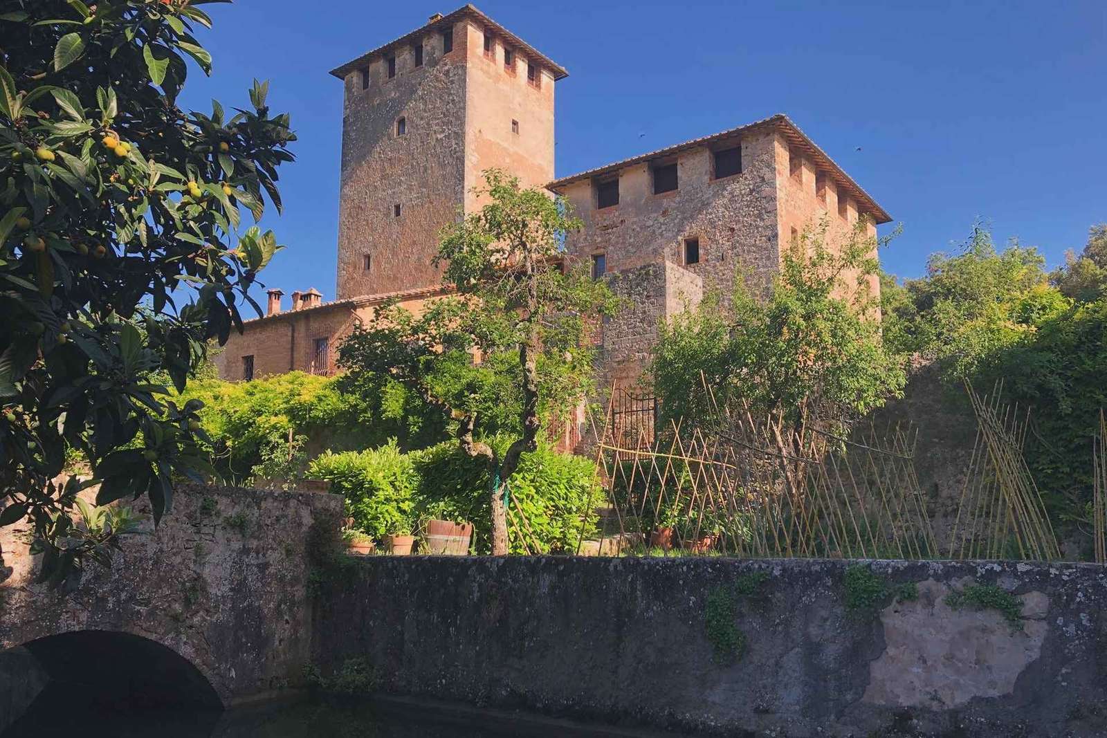 Siena: Visita e prova de vinhos num castelo privado da Toscana