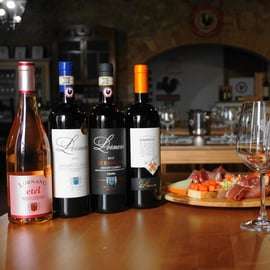 Chianti Classico Wine Tasting near Siena, Fattoria Lornano