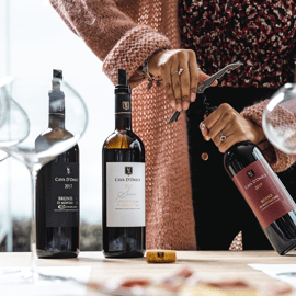 Degustace vína v Montalcinu: rodinné vinařství Cava d'Onice