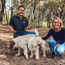San Gimignano : chasse aux truffes avec déjeuner et dégustation de vin
