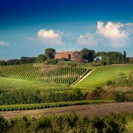 Montalcino: Cata de vinos Brunello