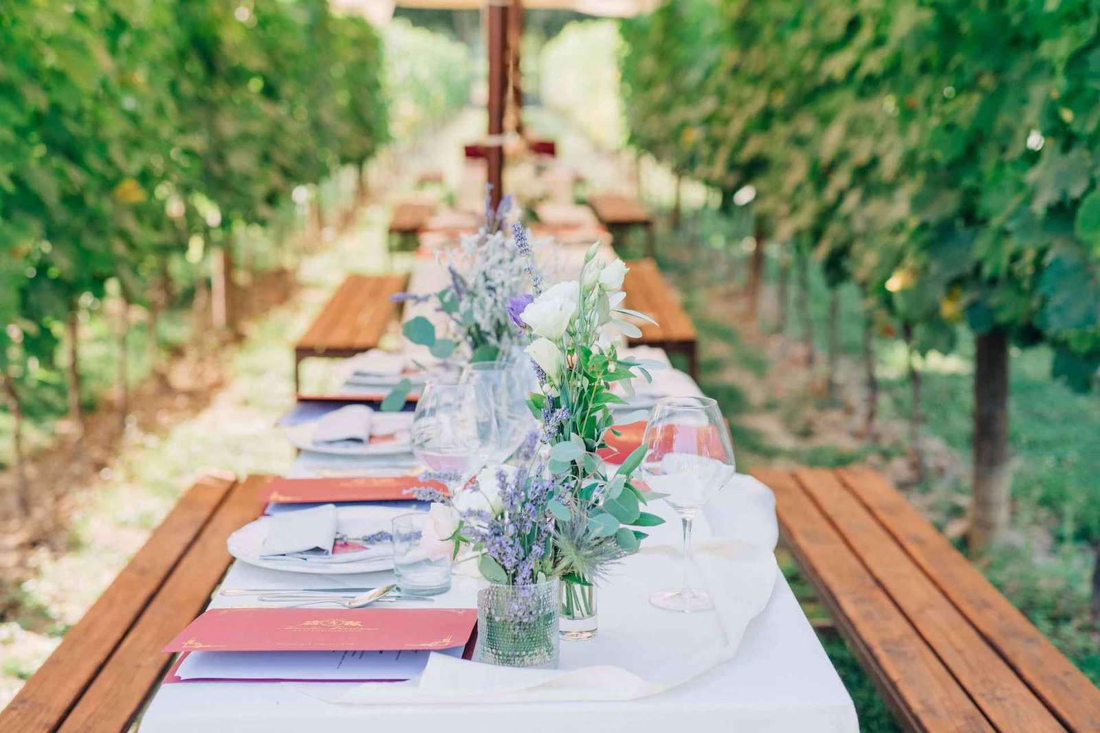 San Gimignano : dîner romantique dans un vignoble