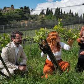 Visite de cave biologique près de Sienne : vignes et déjeuner