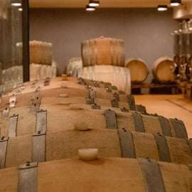 Degustação de vinhos em Radda in Chianti com visita à adega