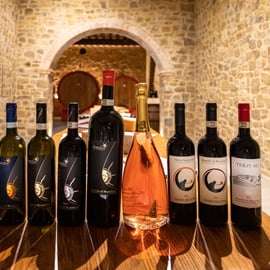 Montalcino: Wine and Olive Oil Tasting, Cellar Tour