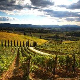 Da Siena: tour in bici elettrica nella campagna del Chianti con pranzo e vino