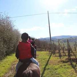 Ridtur i San Gimignano: en timme bland kullar och vingårdar