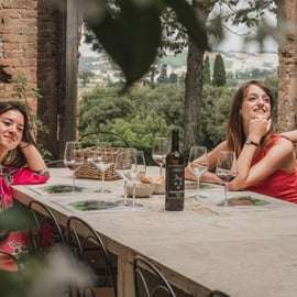 Montalcino: Prohlídka hradu a vinic s degustací