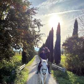 Beginner Horseback Ride near Arezzo to Oliveto