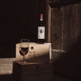 Mocenni Premium