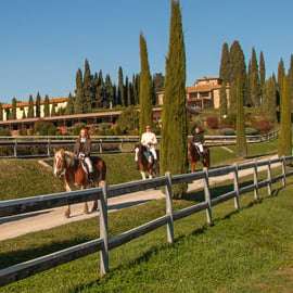 Balade à cheval en Toscane près de Sienne : vignes et polo