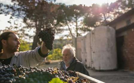 San Gimignano: zwiedzanie wytwórni win Signano i degustacja win