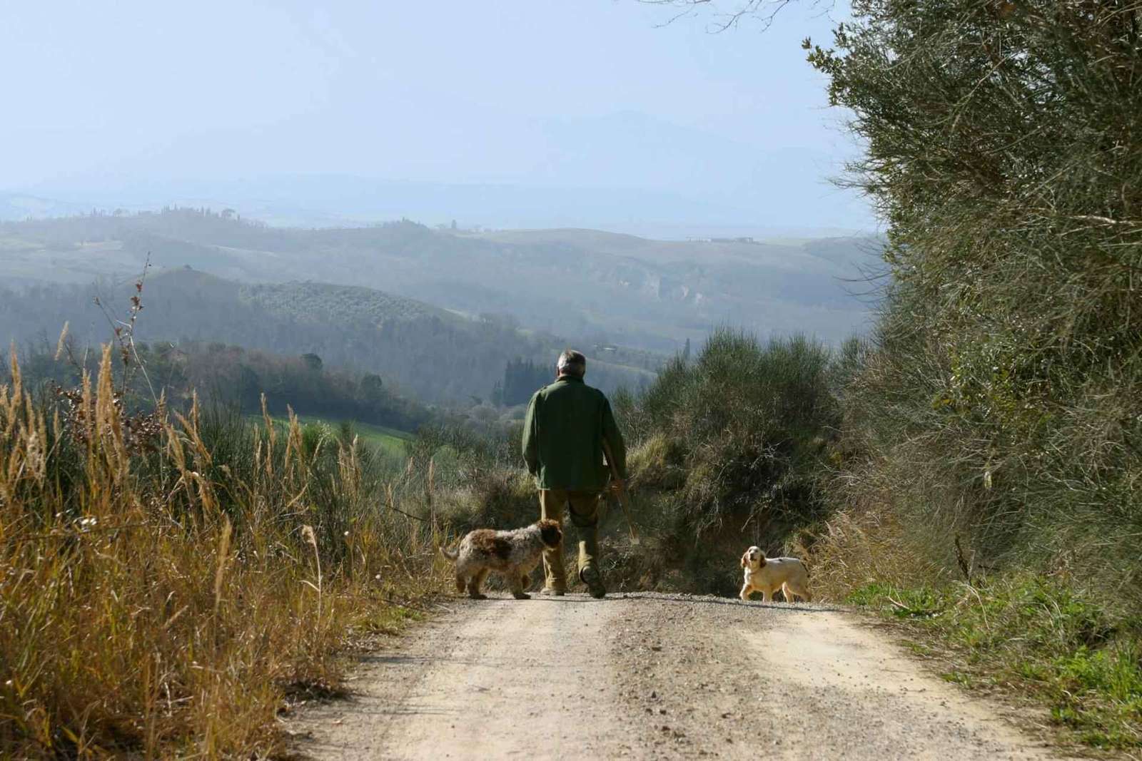 Trequanda: Tuscan Truffle Hunting Experience with Lunch