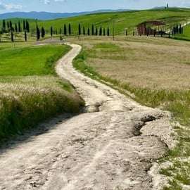 Siena: Radtour im Chianti Classico mit optionaler Weinprobe