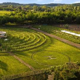 Ulignano: Degustação de vinhos e queijos da Toscana