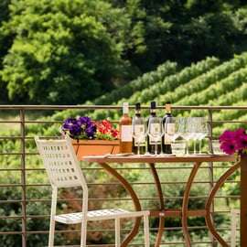 San Gimignano: Visita a la Bodega con Picnic en el Olivar