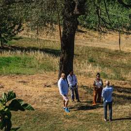 Montalcino: Prohlídka hradu a vinic s degustací