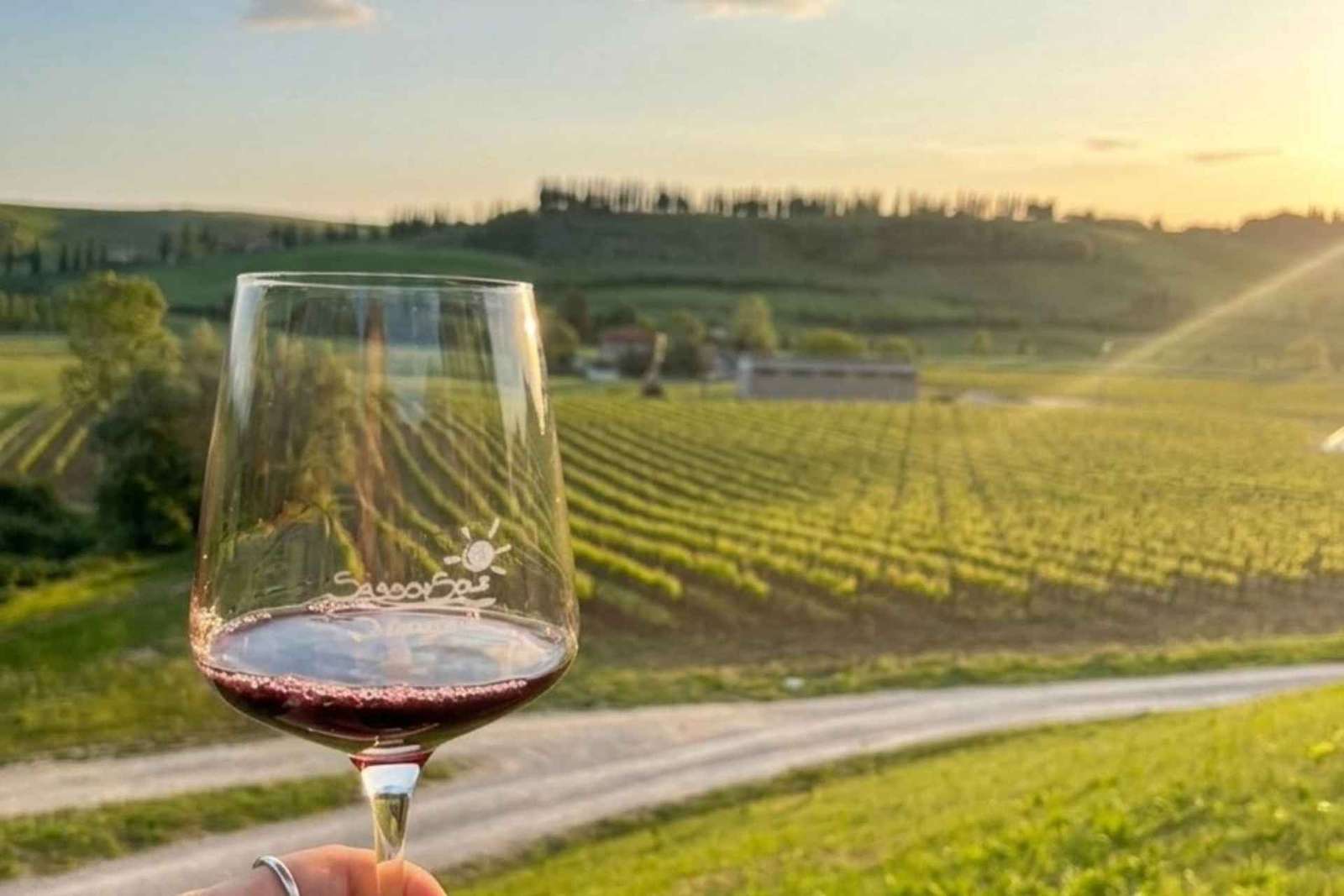 Montalcino: Wine and Olive Oil Tasting, Cellar Tour