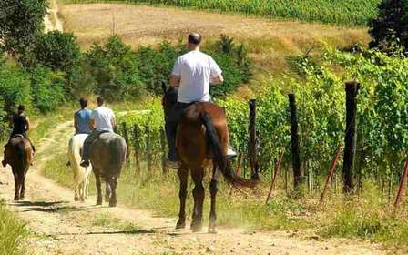 Przejażdżka konna w San Gimignano wśród wzgórz