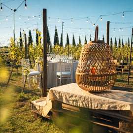 De Sienne à Chianti : dîner et boissons dans les vignobles du Chianti