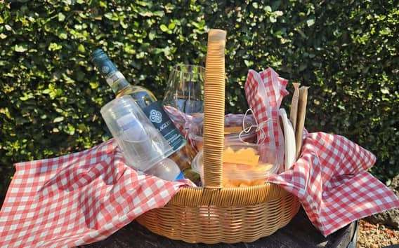 Szőlőültetvényi piknik Vernaccia-borral és San Gimignano-i kilátással
