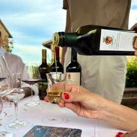 Dégustation d'huile d'olive dans le Chianti : ferme familiale