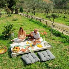 Piknik ve vinici v Chianti: Greve in Chianti s bazénem