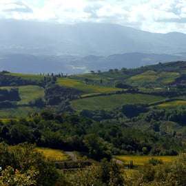Tour de Brunello di Montalcino com almoço e Sant'Antimo