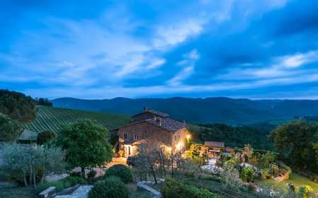 Total Immersion Wine Tour in Chianti