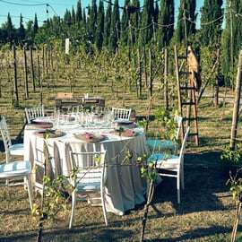 De Sienne à Chianti : dîner et boissons dans les vignobles du Chianti