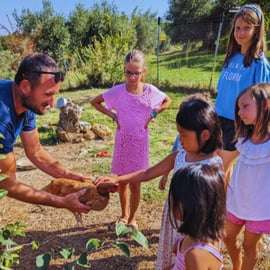 Pienza: Schaf- und Hühner-Tour mit Gourmet-Mittagessen im Bauernhaus